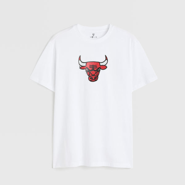 Chic A Go Bulls