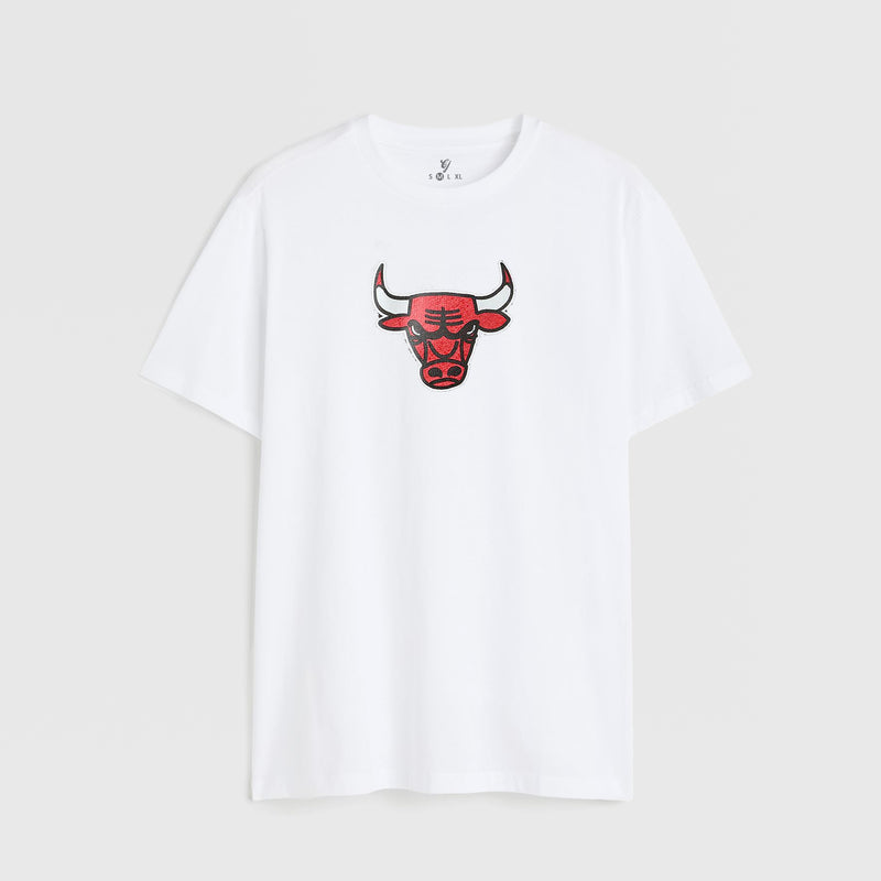 Chic A Go Bulls