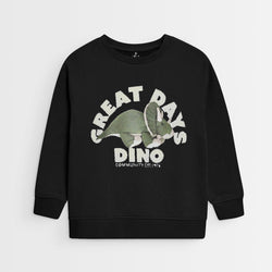 sweatshirt 004